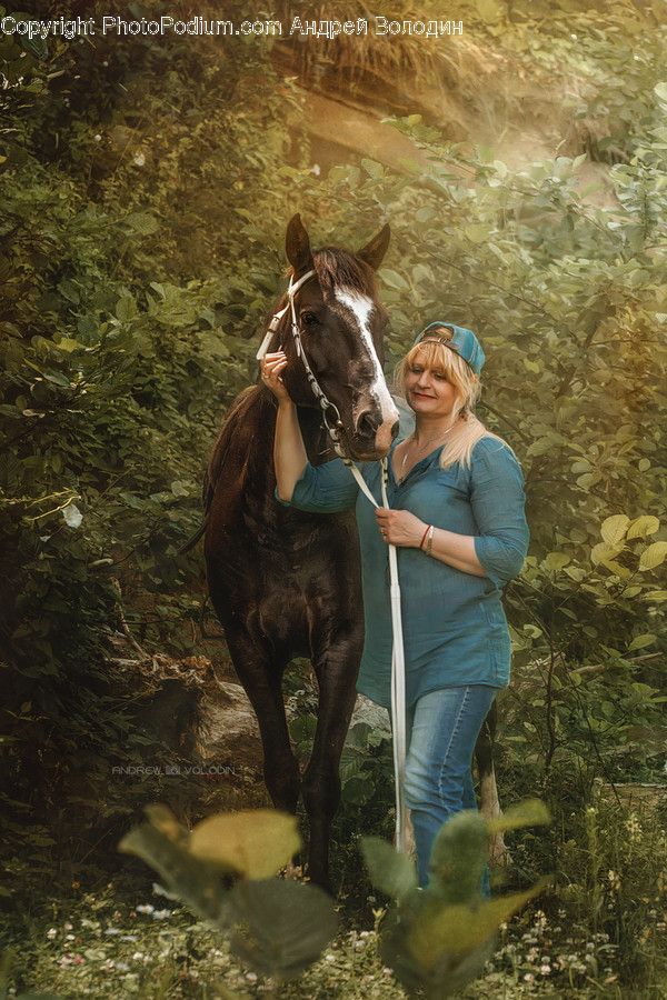 Human, Person, Clothing, Apparel, Horse