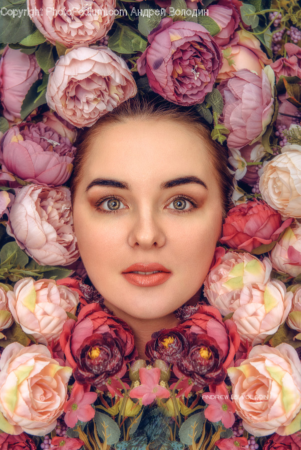 Plant, Blossom, Flower, Human, Person