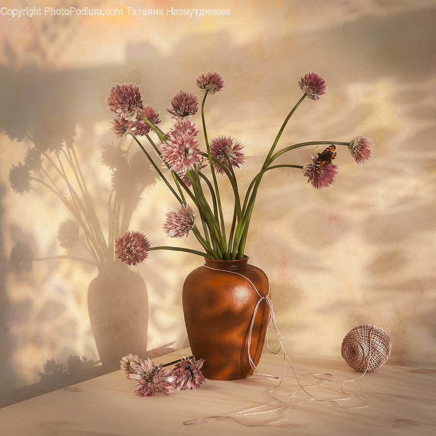 Flower, Vase, Art, Pottery, Jar