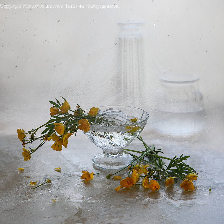 Ikebana, Pottery, Vase, Ornament, Flower Arrangement