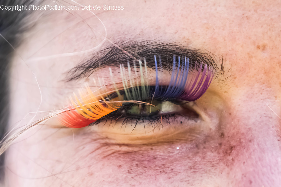 Animal, Insect, Invertebrate, Contact Lens, Skin