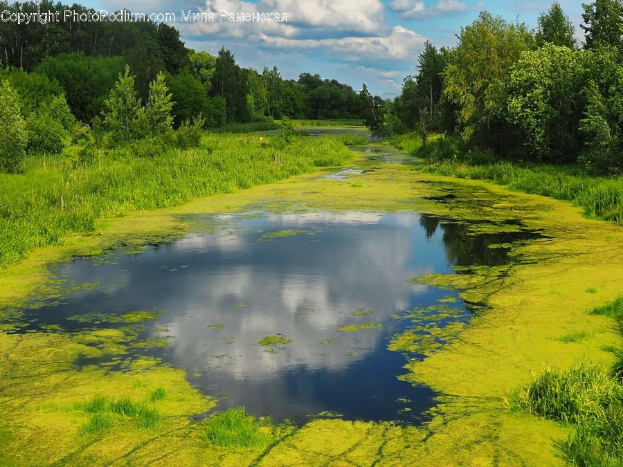 Nature, Outdoors, Land, Water, Pond