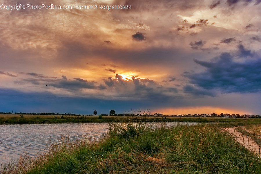 Nature, Outdoors, Weather, Sky, Plant