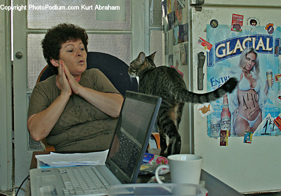 People, Person, Human, Animal, Cat, Mammal, Pet