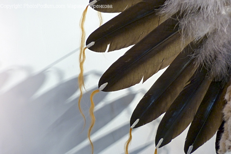 Bird, Animal, Beak, Plant, Leaf