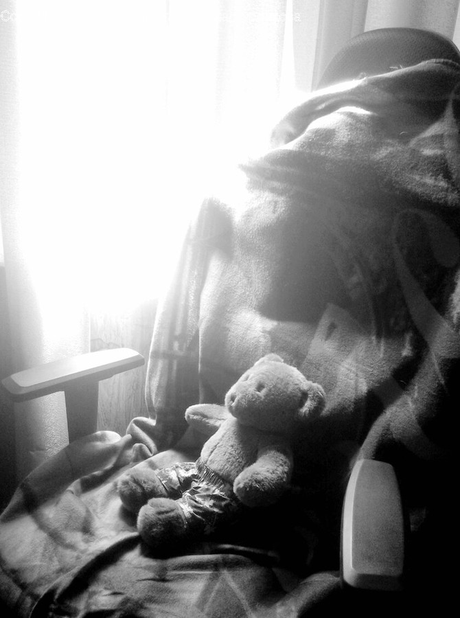 Teddy Bear, Toy, Town, Building, City
