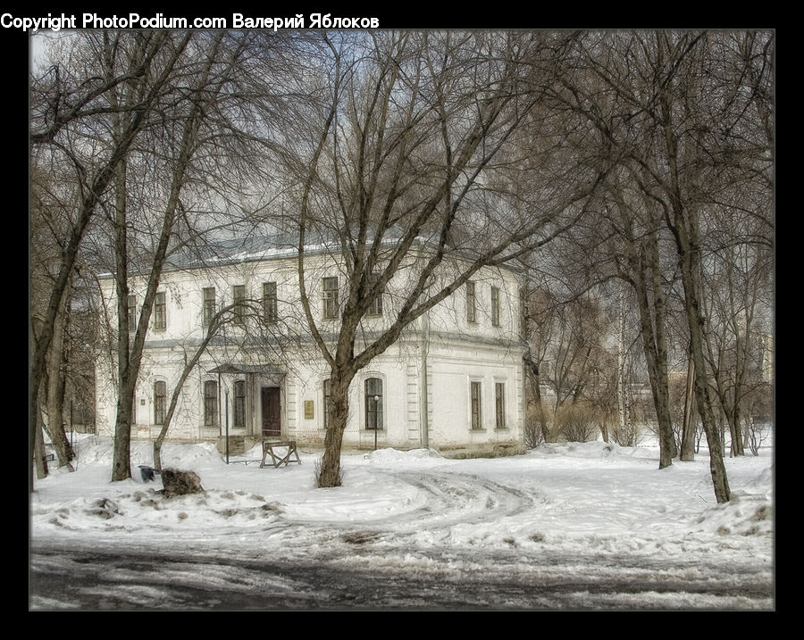 Architecture, Mansion, Ice, Outdoors, Snow, Plant, Potted Plant