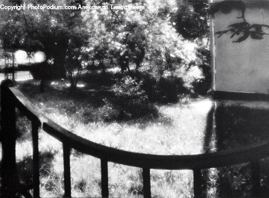 Bench, Stencil, Railing, Water, Plant, Tree