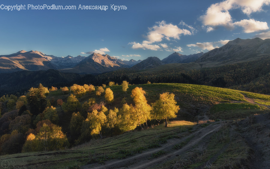 Nature, Dirt Road, Road, Gravel, Outdoors