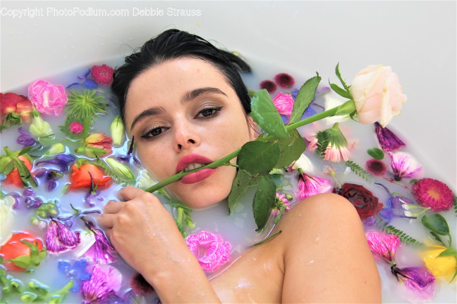 Plant, Blossom, Flower, Person, Human
