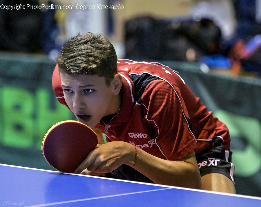 Human, Person, Sport, Sports, Ping Pong