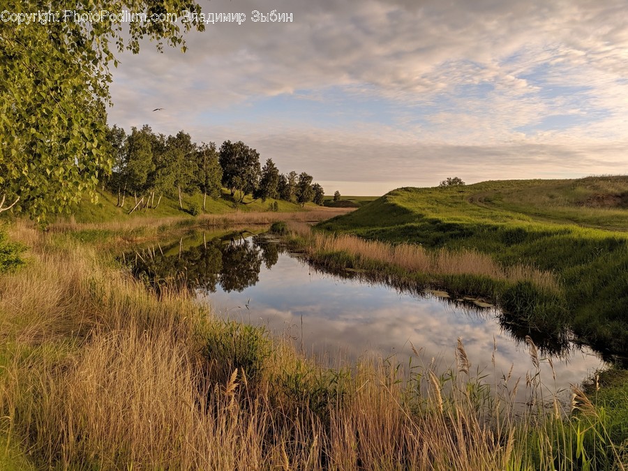Outdoors, Land, Nature, Water, Grass