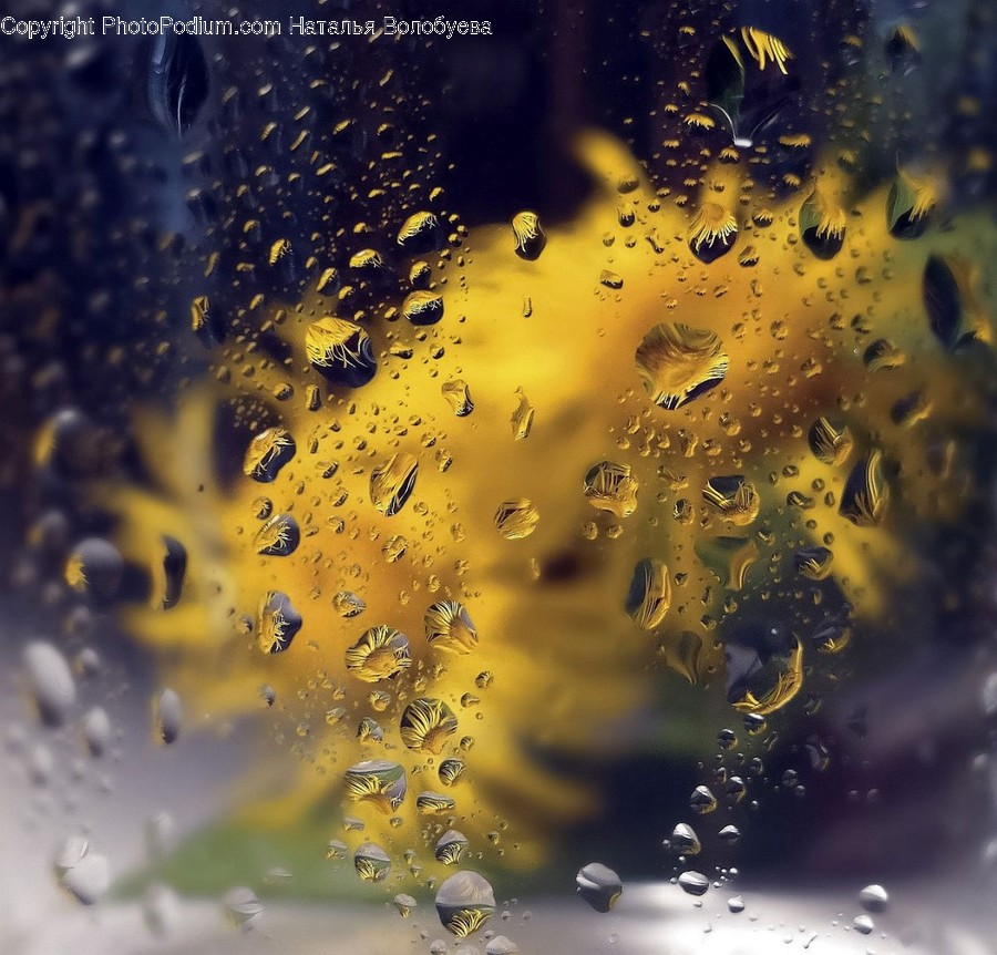 Droplet, Invertebrate, Bee, Animal, Insect