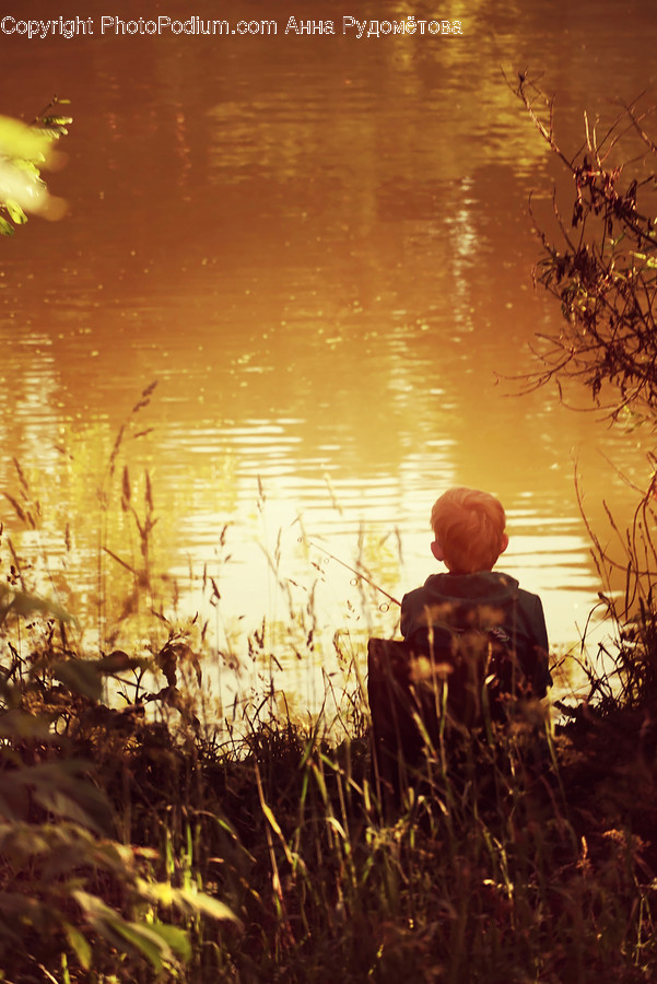 Grass, Plant, Human, Person, Outdoors