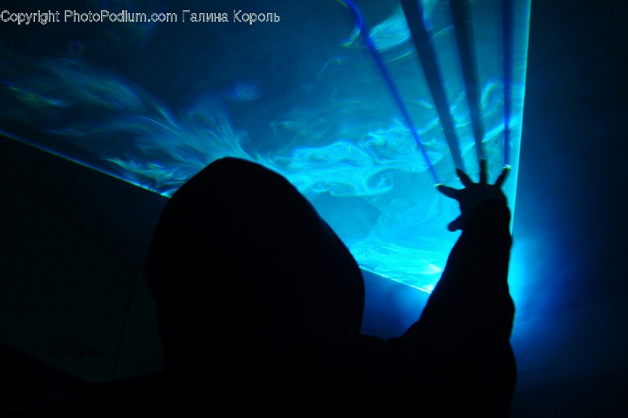 Silhouette, Water, Animal, Light, Lighting