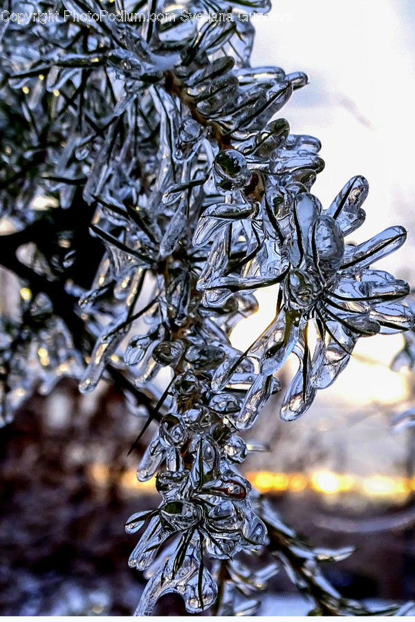 Outdoors, Nature, Ice, Snow, Winter