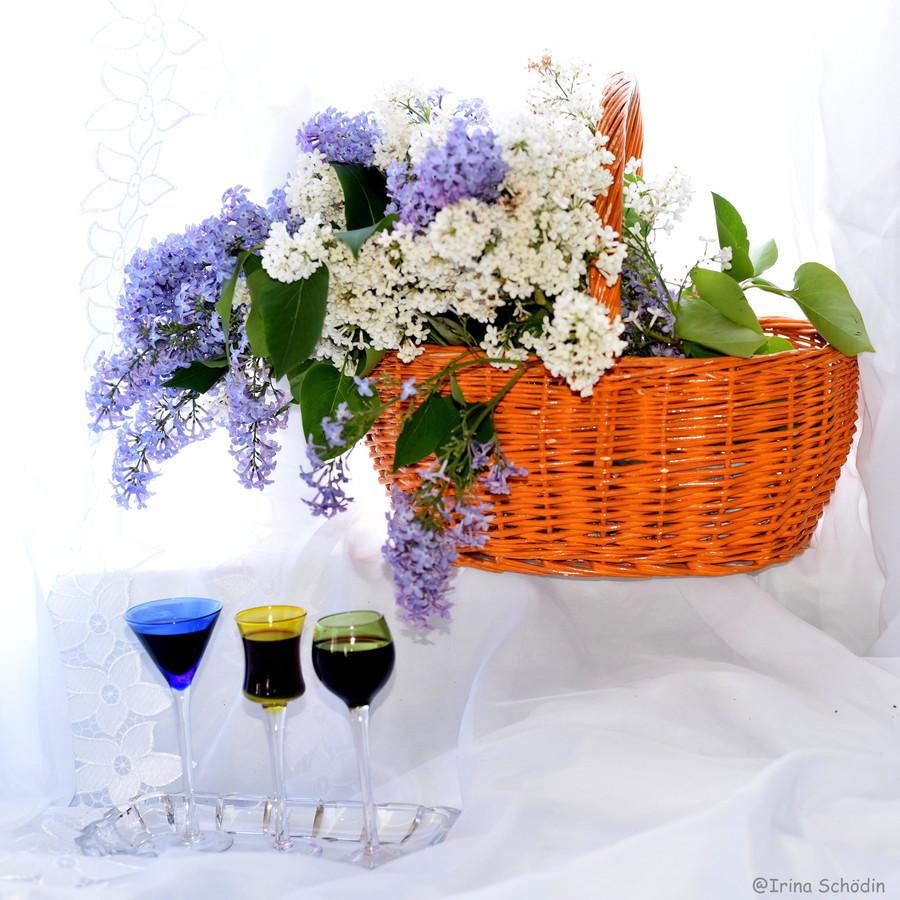 Plant, Flower, Blossom, Flower Arrangement, Flower Bouquet