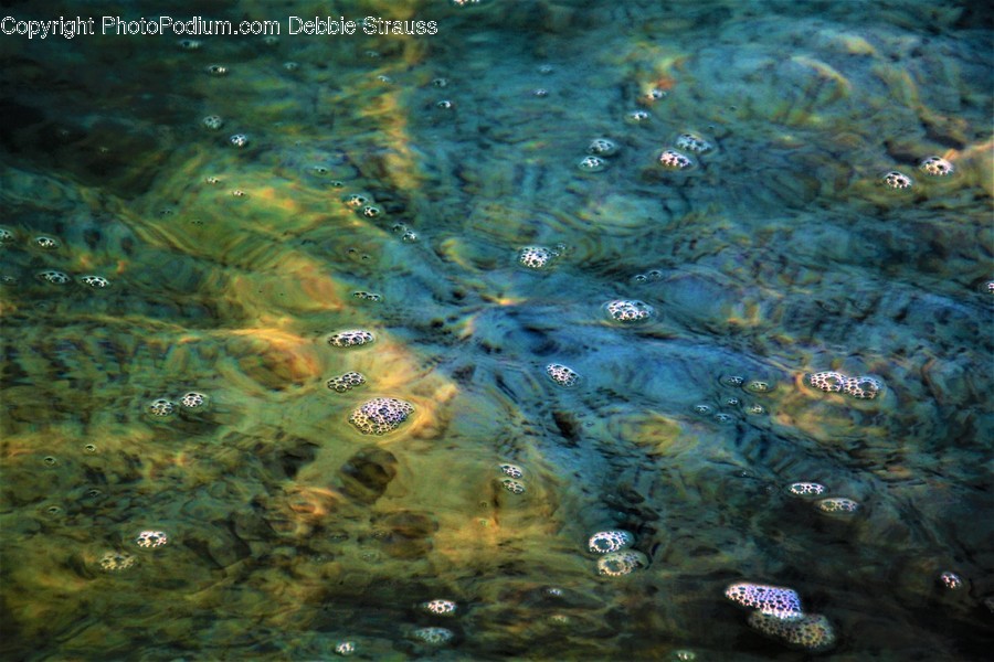 Water, Outdoors, Ripple, Aquatic, Nature