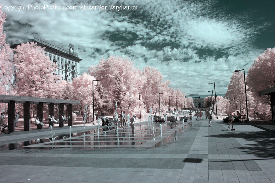 Person, Human, Path, Plant, Blossom
