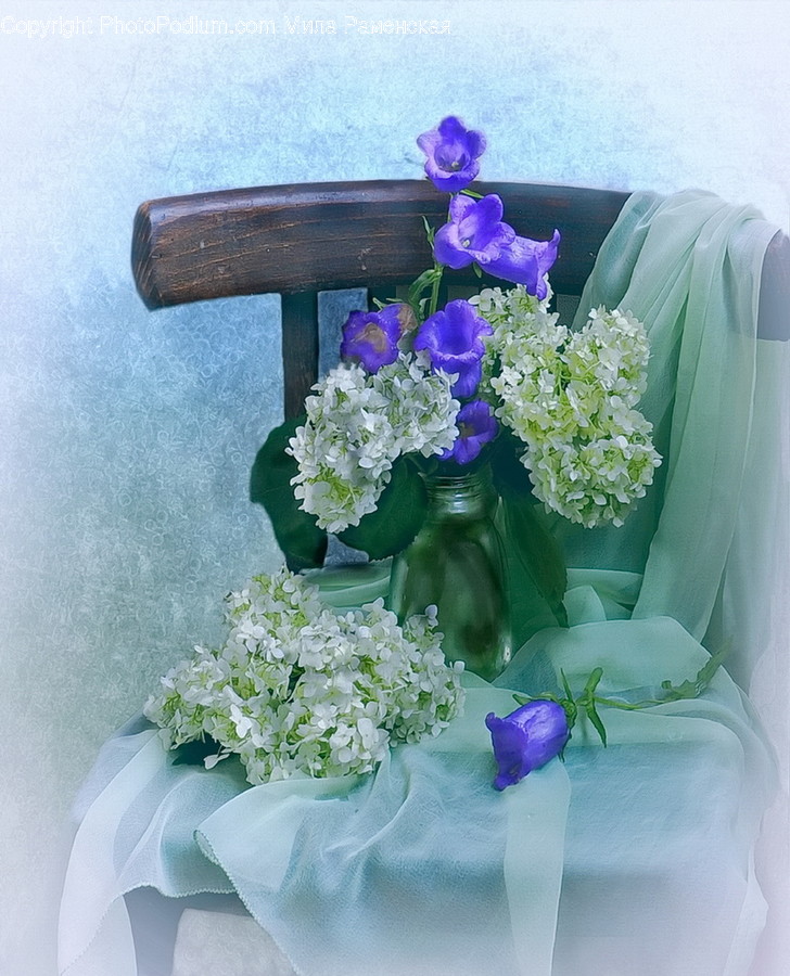 Plant, Blossom, Flower, Flower Arrangement, Flower Bouquet