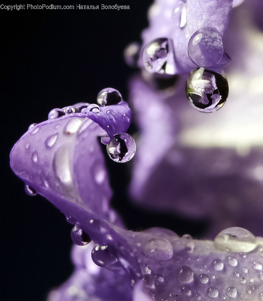 Droplet, Outdoors, Ice, Nature, Crystal