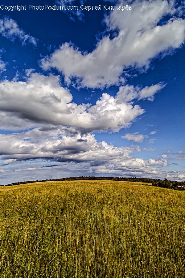 Nature, Outdoors, Field, Grassland, Weather