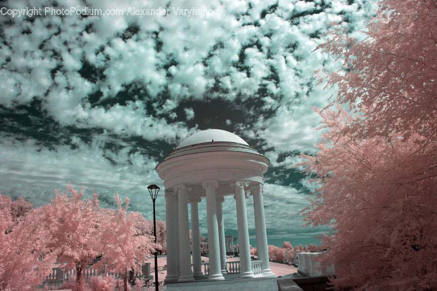 Plant, Flower, Blossom, Gazebo, Cherry Blossom