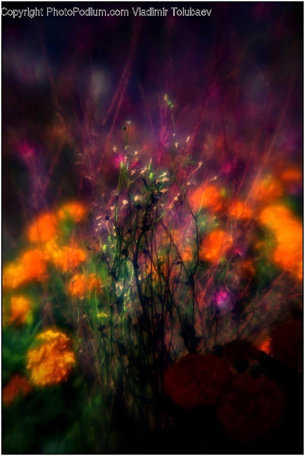 Light, Flare, Fire, Pattern, Modern Art