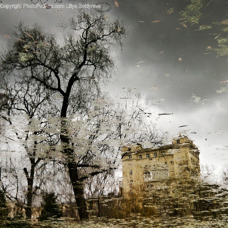 Nature, Outdoors, Ice, Weather, Snow