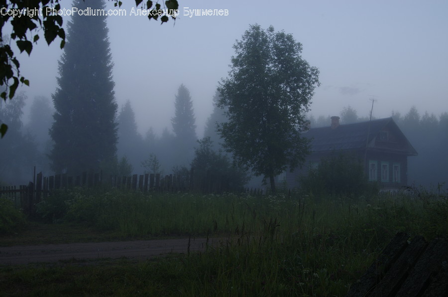 Nature, Weather, Outdoors, Fog, Mist