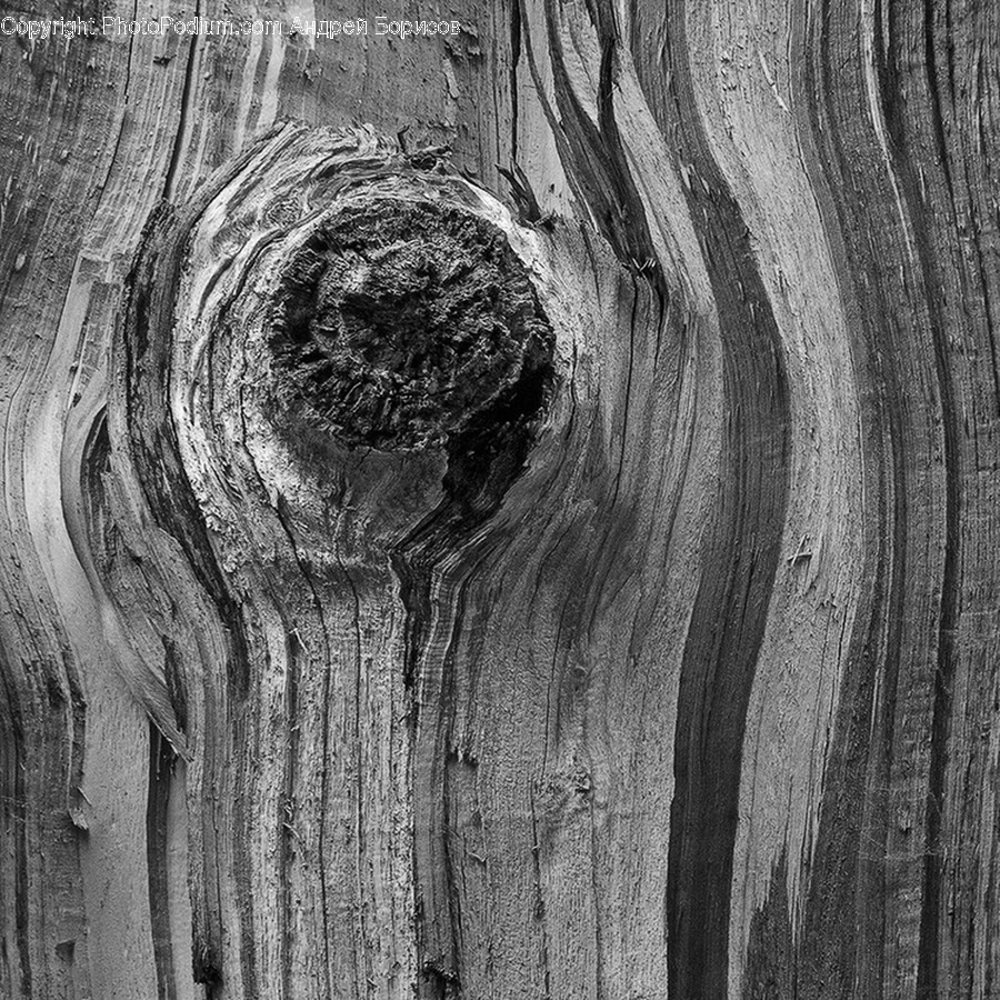 Wood, Painting, Art, Plant, Tree