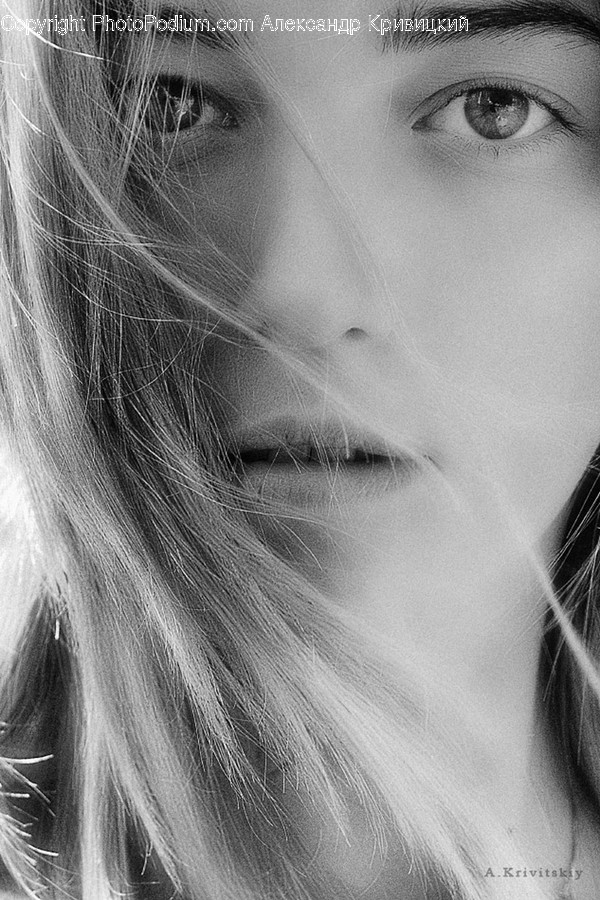 Face, Human, Person, Animal, Pet