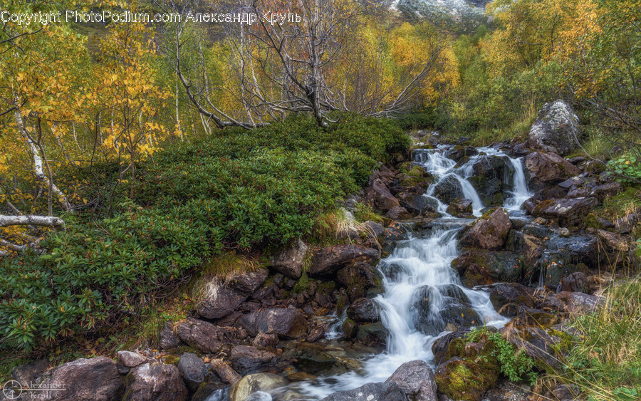 Water, Nature, Outdoors, Stream, Creek