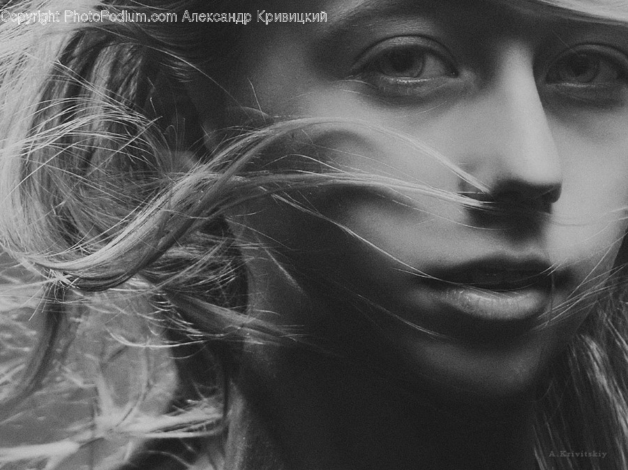 Human, Person, Face, Photography, Portrait