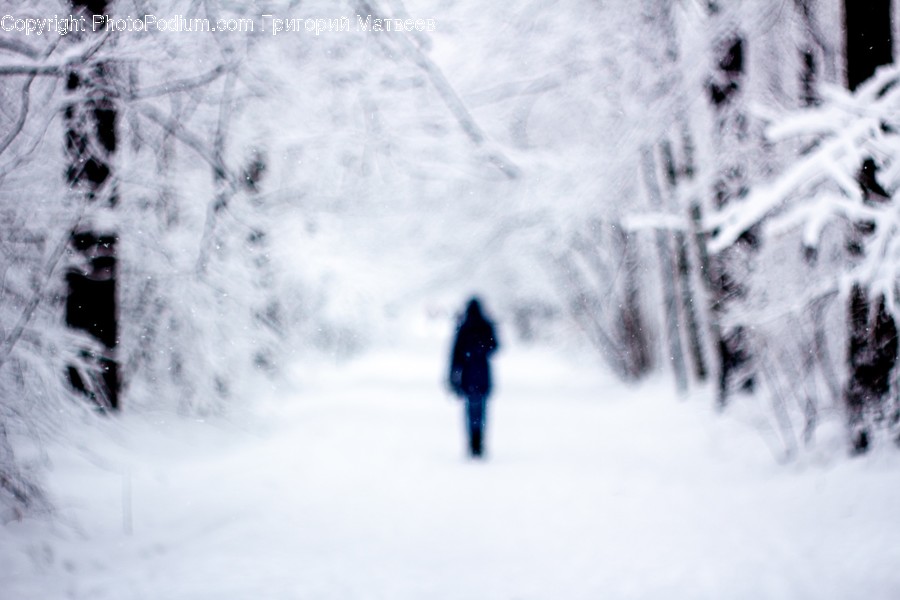 Nature, Outdoors, Blizzard, Snow, Winter