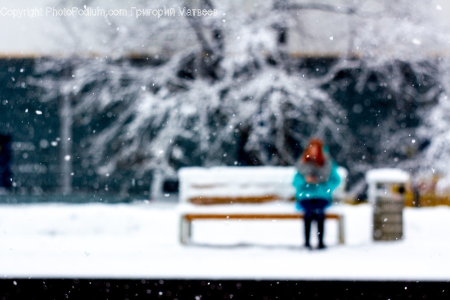 Nature, Outdoors, Snow, Storm, Winter