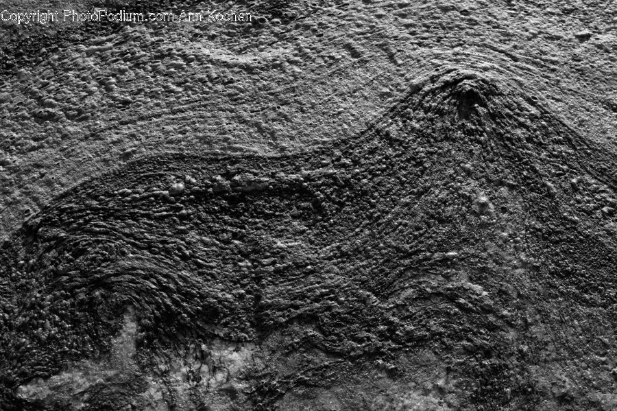 Soil, Rug, Rock, Fossil