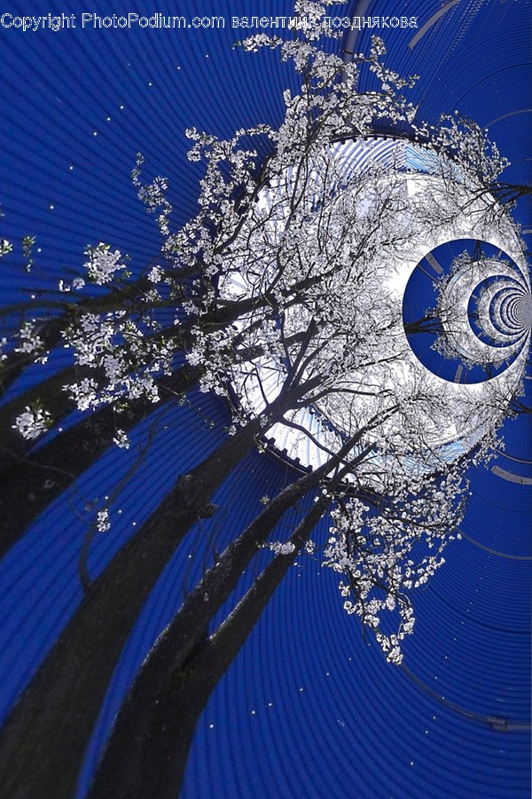 Sphere, Adventure, Leisure Activities, Building, Architecture