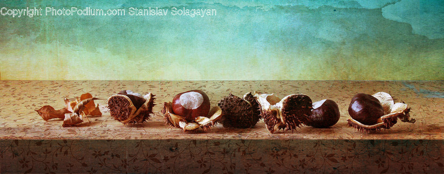 Painting, Art, Animal, Sea Life, Food