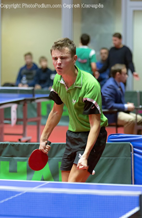 Human, Person, Ping Pong, Sport, Sports