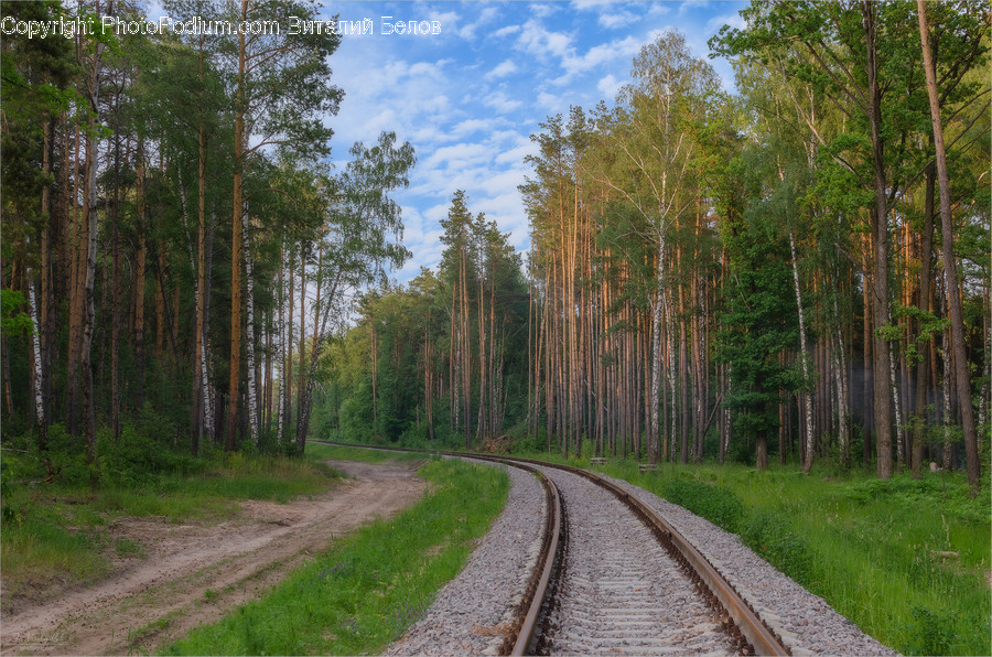 Railway, Train Track, Transportation, Rail, Road
