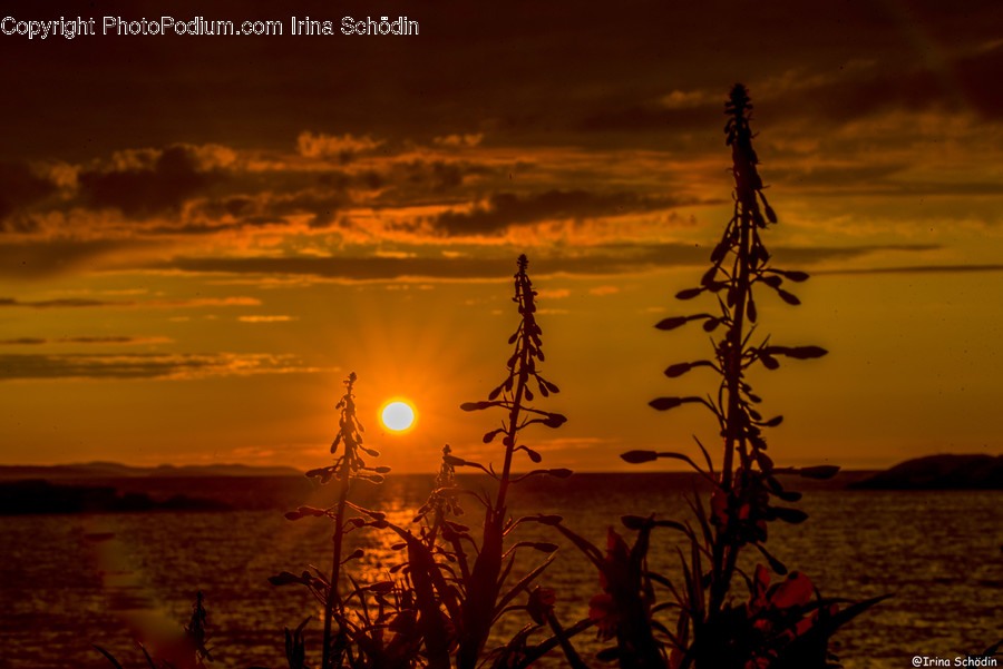 Nature, Outdoors, Sunlight, Sunset, Dusk