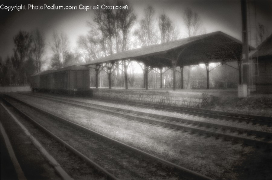 Transportation, Rail, Train Track, Railway, Train