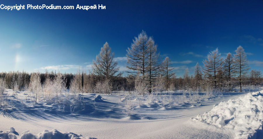 Outdoors, Plateau, Plant, Tree, Conifer, Fir, Landscape