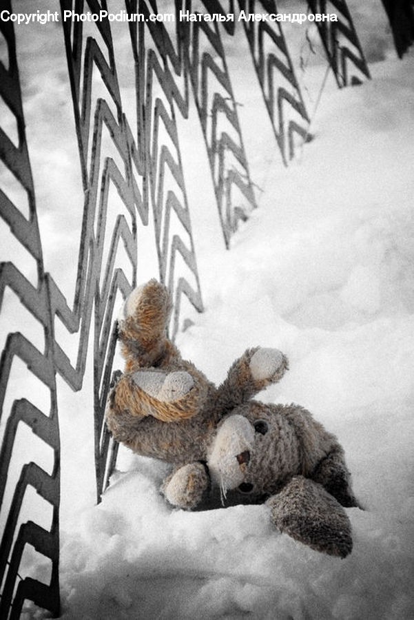 Teddy Bear, Toy, Adorable, Pedestrian, Person, Art, Modern Art