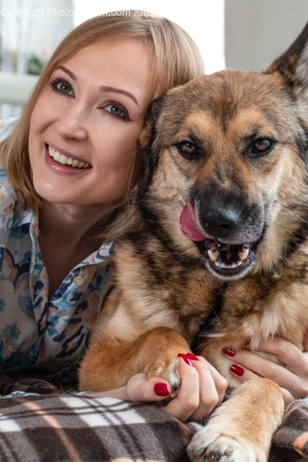 Pet, German Shepherd, Dog, Canine, Mammal