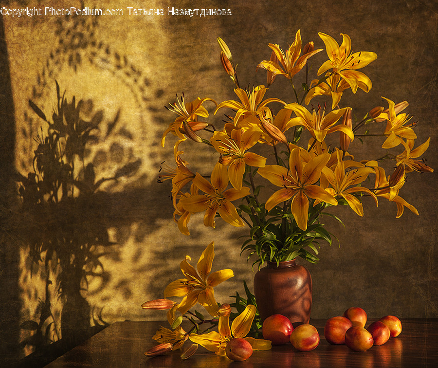 Plant, Flower, Blossom, Flower Arrangement, Flower Bouquet
