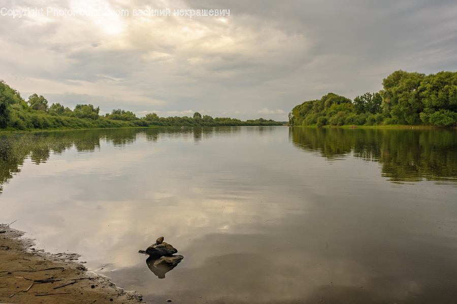 Water, Nature, Outdoors, Lake, Bird