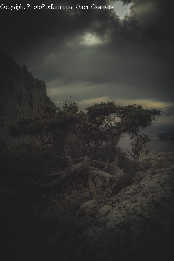 Nature, Outdoors, Space, Universe, Night
