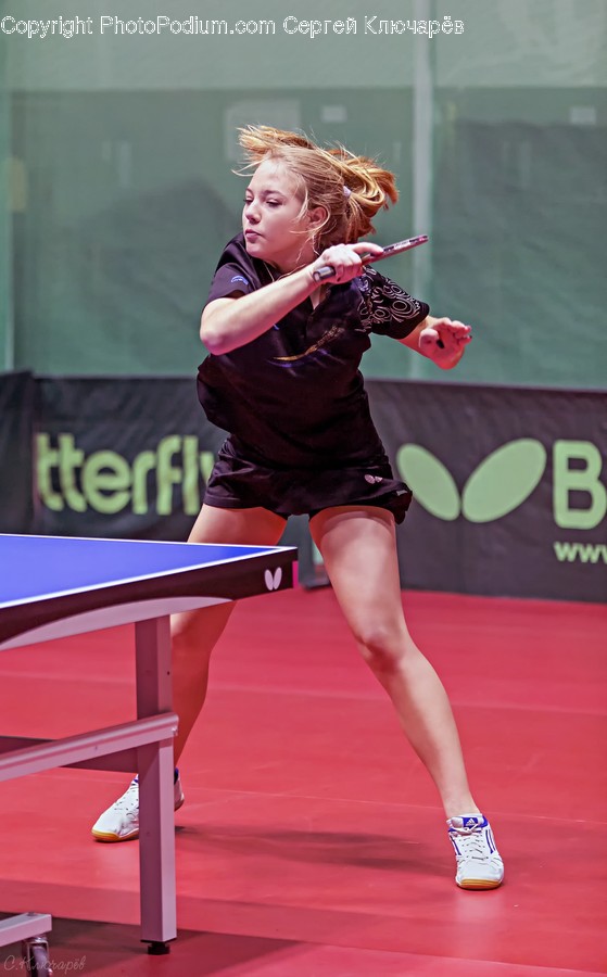 Human, Person, Sport, Sports, Tennis